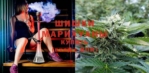 спайс Богородск